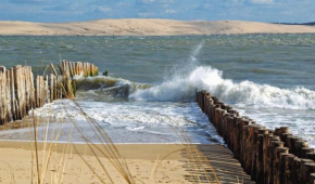 T1bis dans les dunes du Cap Ferret